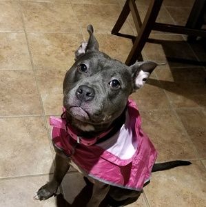 Meet your Posher, Yvette